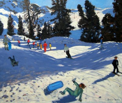 Luge bleue, Belle Plagne - Andrew Macara